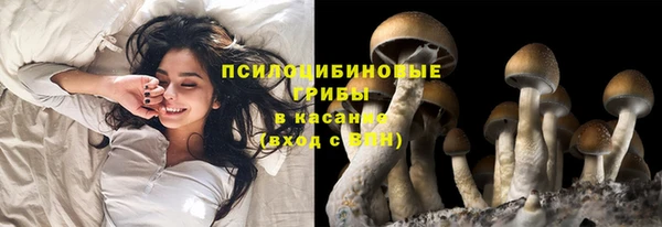 шишки Россошь