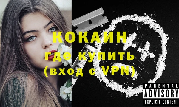 мяу мяу мука Рославль