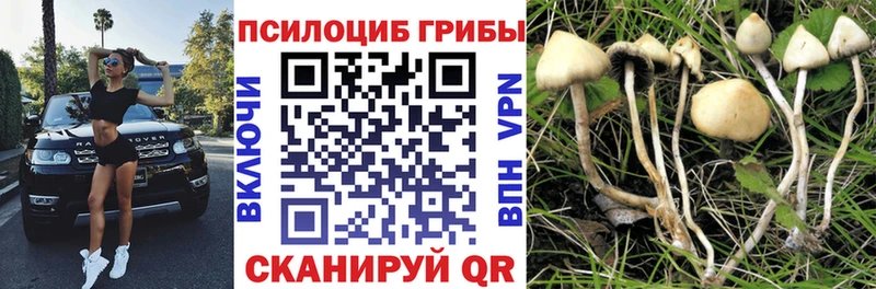 купить наркотик Ульяновск Псилоцибиновые грибы прущие грибы