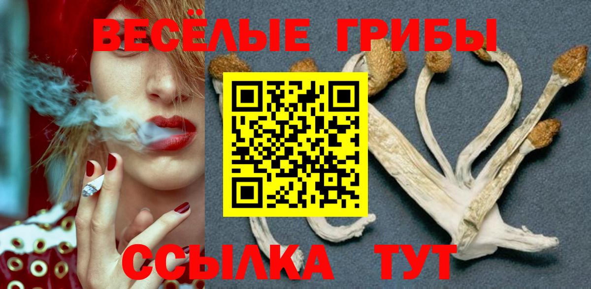 Ульяновск  Галлюциногенные грибы ЛСД  Вход с VPN 